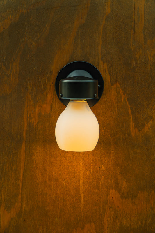 Toucana Shade | Short | 4 Pack
